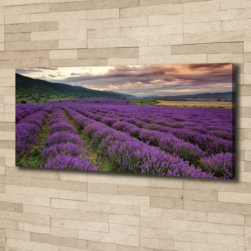 Lavender Field - Wrapped Canvas Print