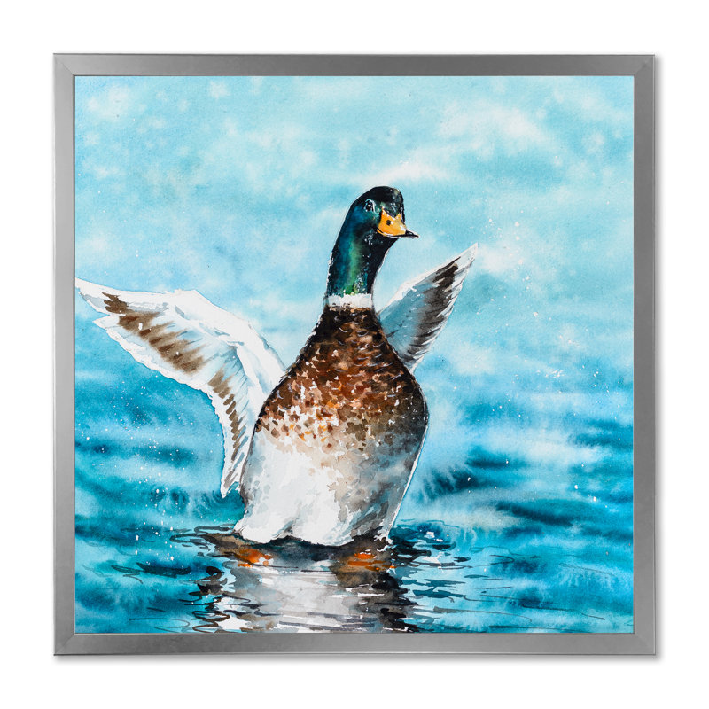 Canard colvert étirant ses ailes - sur, H 30 po x l 30 po x P 1 po, Impression argent sur toile encadrée
