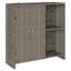 Rattan Accent Cabinet-14279688