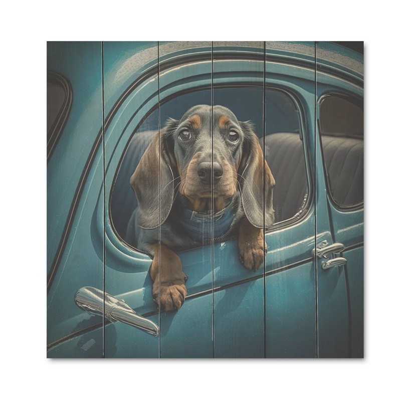 Portrait d'un teckel dans une voiture bleue II - reproduction sur toile, H 16 po x l 16 po x P 1 po, Bois