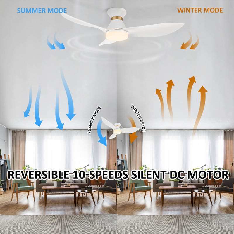 Ventilateur de plafond 45 "avec lumière Dyonne, Blanc