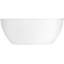 Spectacle 65.44'' L Freestanding Soaking Bathtub