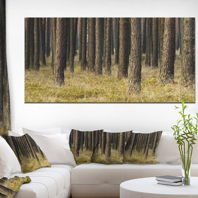 «Dark Fall Forest with Green Grass», reproduction de photo sur toile tendue