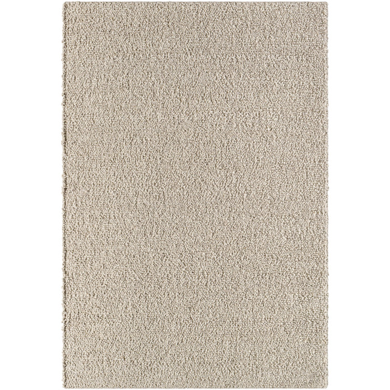 Aspenson Hand Tufted Indoor Rug, Rectangle 2' x 3'