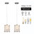 1 - Light Pendant Light (set of 2)