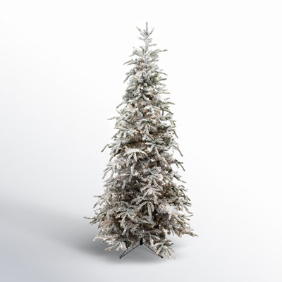 Balsam Frosted 12' Pre-Lit Fir Christmas Tree