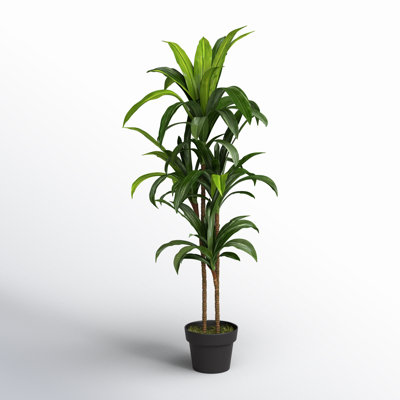 Larson 48'' Faux Dracaena Plant in Planter