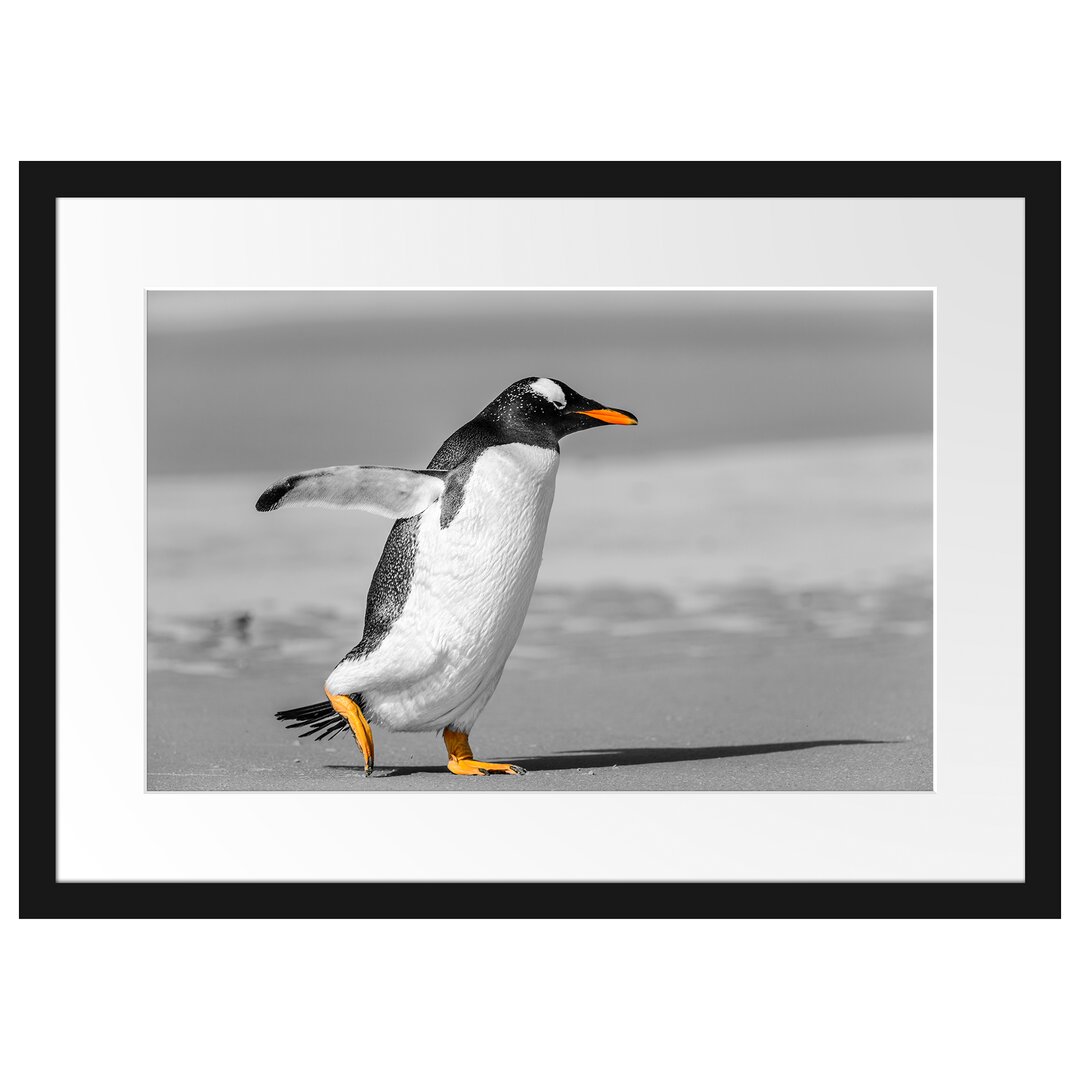 Gerahmtes Poster Watschelnder Pinguin am Strand