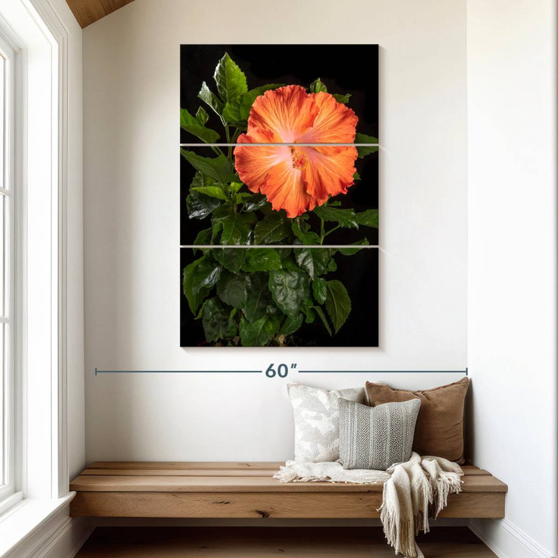 Harnek fleur orange d'hibiscus hawaïen