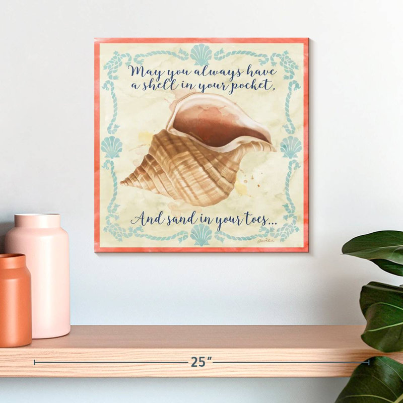 Aletra Sea Shells