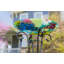 Bain d'oiseaux en verre Lahziri-687791905-687791918