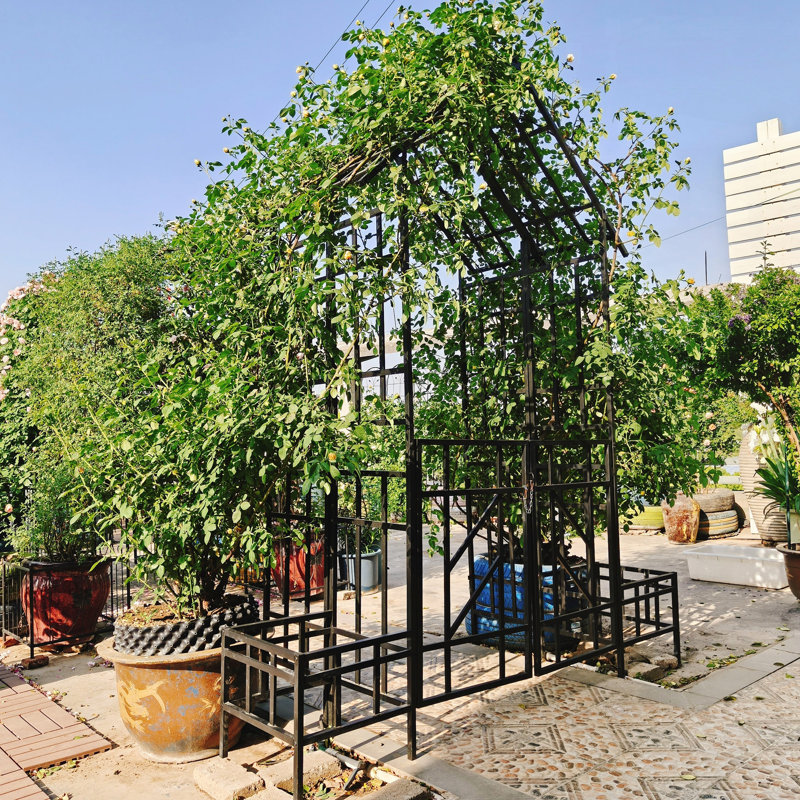 Arche de jardin en métal avec barrière et jardinière, parfaite pour les plantes grimpantes et la décoration extérieure