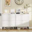 16 Pair Shoe Storage Cabinet