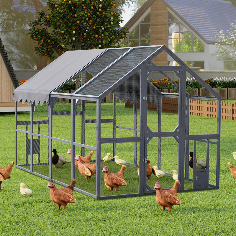 Enclos d'extérieur pour poulailler 110 po, Gris