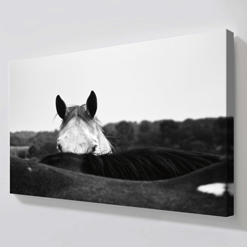 "Flirt" par Aledanda, reproduction sur toile, H 36 po x l 60 po