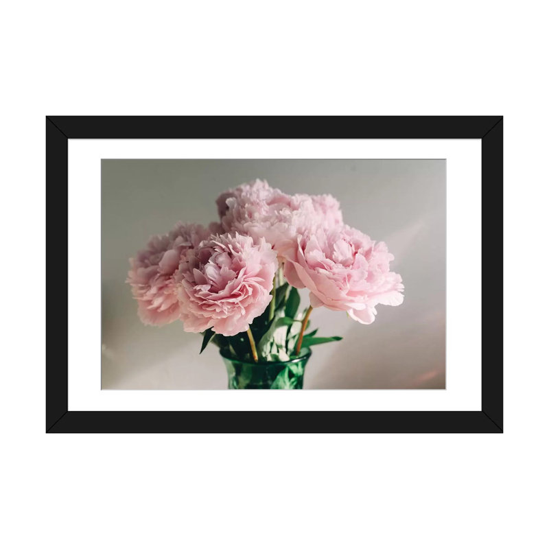 « rose pivoines on white i » sur toile, Papier d'art encadré noir, Blanc, H 24 po x l 32 po x P 1 po