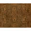 Tapis beige / brun de haute qualité noué à la main