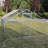 Durelle Chicken Coop-305984212