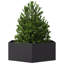 Planter Box-104931344-104931351