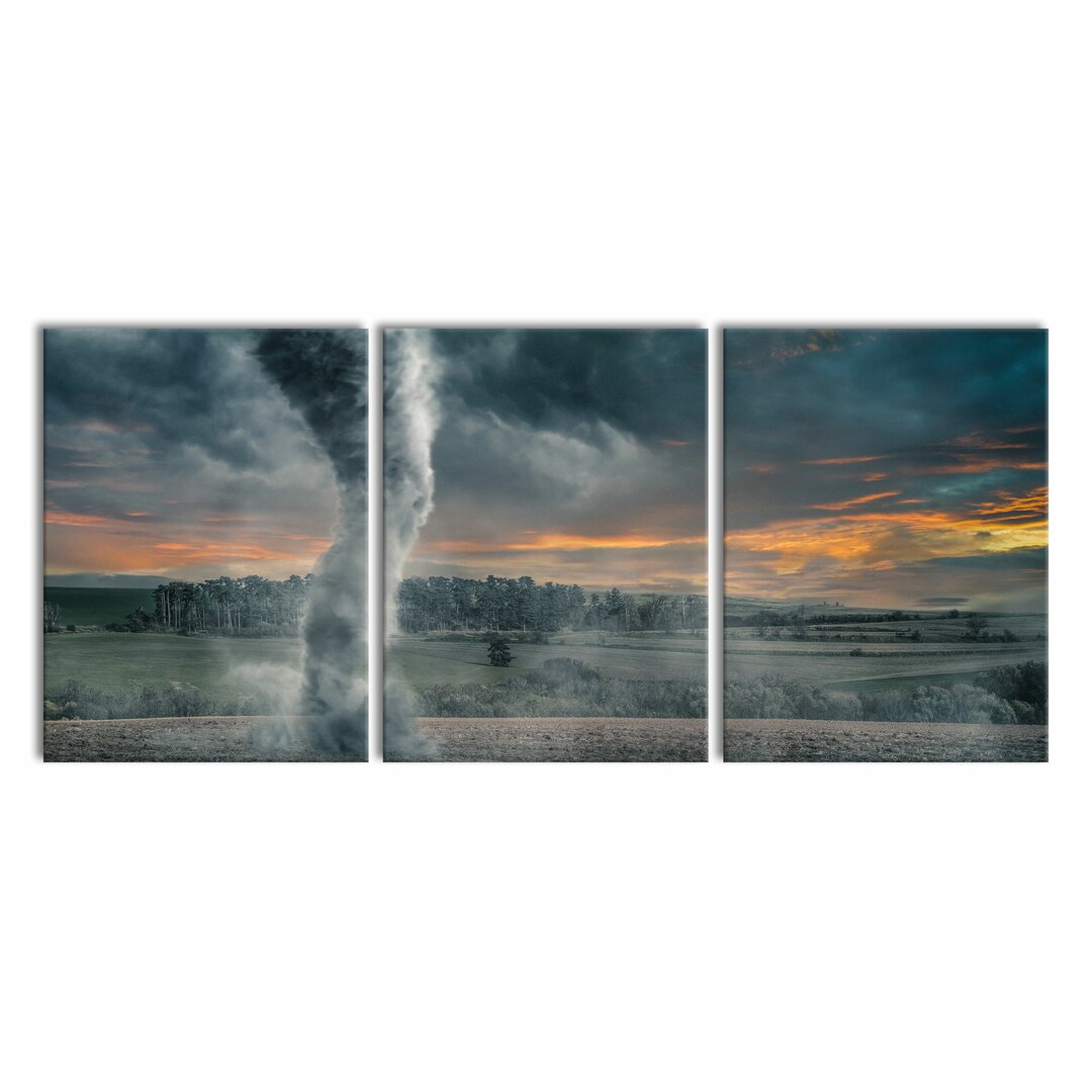 3-tlg. Leinwandbilder-Set Black Tornado on a Field