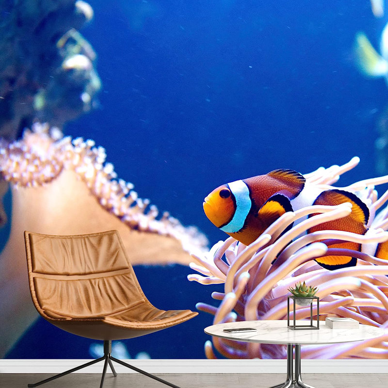 Murale à peindre Clownfish, L 66 po x l 96 po