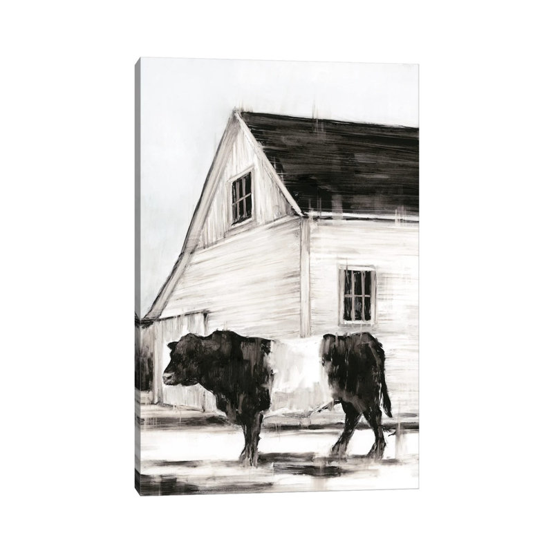 Belted Galloway II by Ethan Harper - Wrapped Canvas Print, 30.48cm H x 20.32cm W