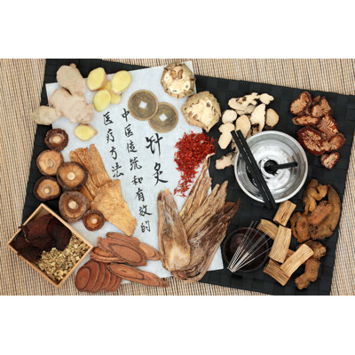 Traditional Chinese Medicine - Wrapped Canvas Print
