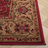 Angelyca Performance Oriental Rug-1008634333