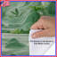 Housses de couette Lush Greenery-126343845