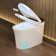 Smart Bidet Toilet Tankless, Intelligent Bidet Toilet with Auto/Blackout Flush, Heated Seat, Warm Wash, Warm Dryer (Remote Control Included)