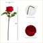 20in. Artificial Peony Flower Stems, Set of 3-728973582