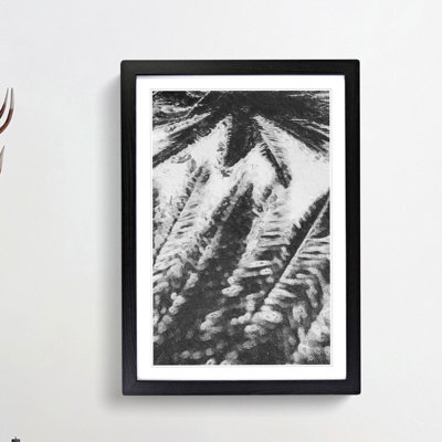 Palm Tree Shadows - Framed Print