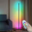 Brittnei 140cm LED Novelty Floor Lamp