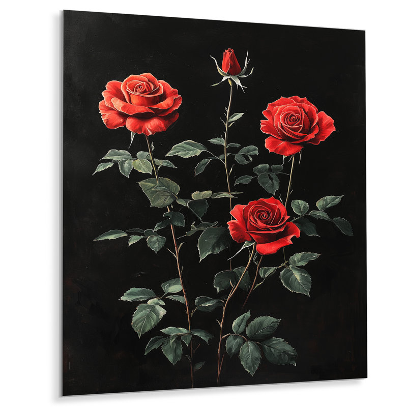 Midnight Vivid Rose Flowers Elegance - Roses, impression sur métal, H 40 po x l 30 po