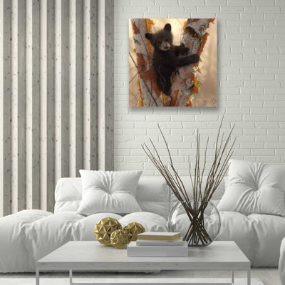 «Curious Cub I» par Collin Bogle, art mural en verre acrylique
