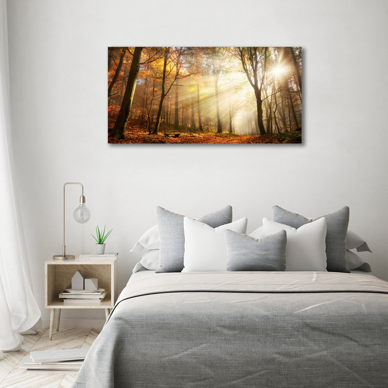 Fog In The Forest - Print, Canvas, 70cm H x 140cm W x 2cm D
