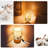 Danthai Wood Lamp Base Lamp