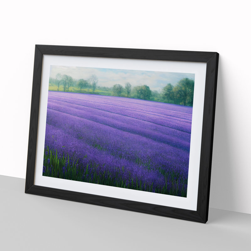 XH1022-7281X Radiant Bluebell Field - Single Picture Frame Print, 46cm H x 64cm W, Black