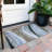 Segin Machine Washable Indoor/Outdoor Rug-109484491