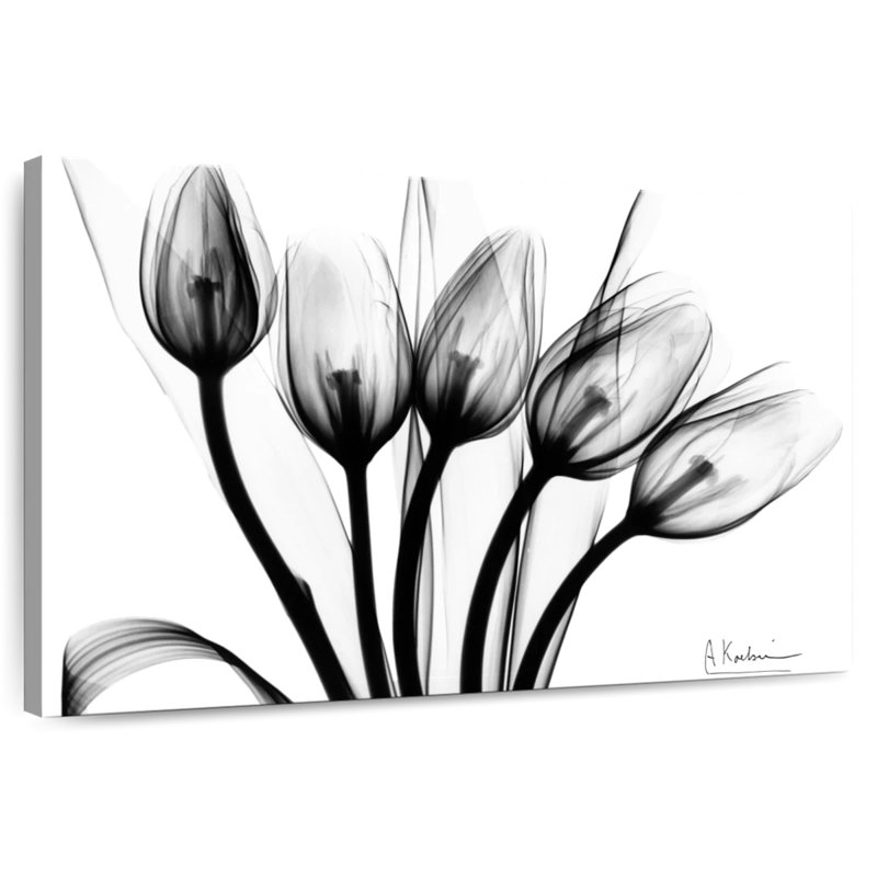 Harnek Marching Tulips, 20" H x 30" W