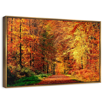 Chemin vers la forêt d'automne