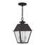 Lanterne suspendue d'extérieur 2 lumières Arnetria-22670196