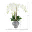 Orchids Arranged in Decorative Ceramic Vase
