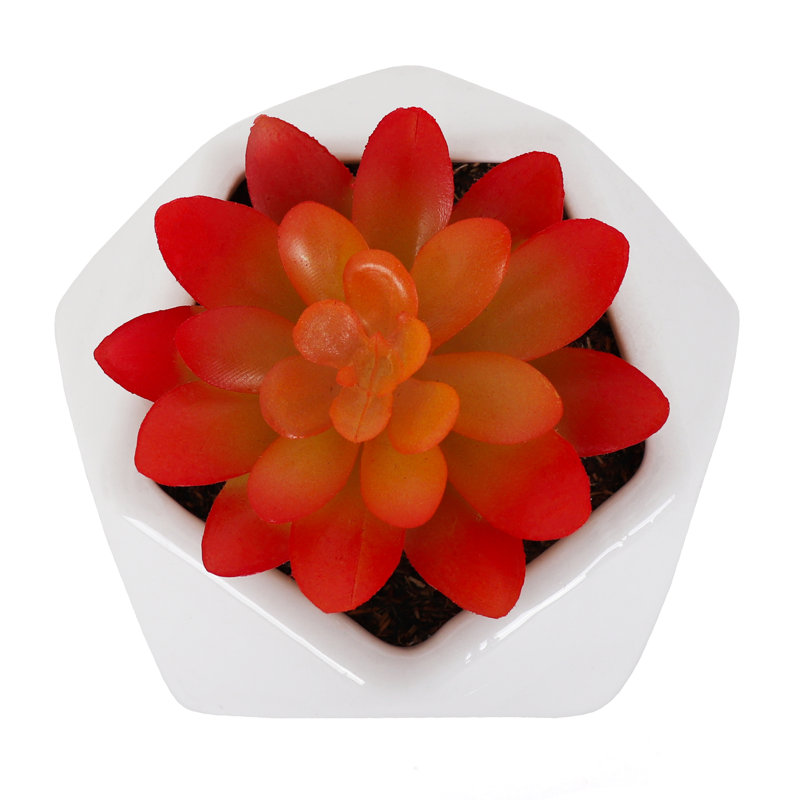 4'' Faux Succulent in Ceramic Planter