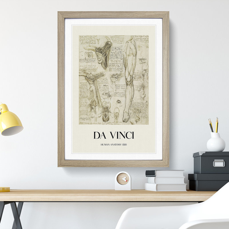 Human Anatomy Vol.7 by Leonardo Da Vinci - Picture Frame Drawing, 48cm H x 36cm W x 2cm D, Oak Framed