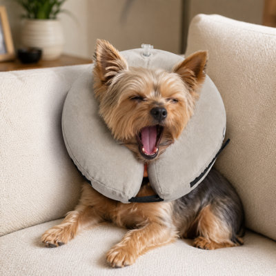 Collier de récupération gonflable pour chiens et chats, collier de protection réglable pour cou anti-léchage, toilettage et soins quotidiens pour animaux de compagnie