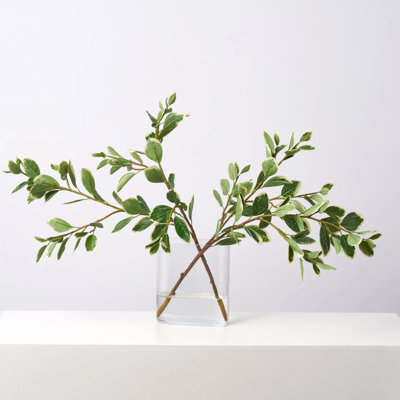 Branches japonaises dans un vase ovale moderne