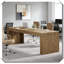 Bureau de direction fonctionnel, spacieux et élégant-309522187