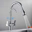 Belfry Kitchen Wilburg Pull Out Kitchen Faucet