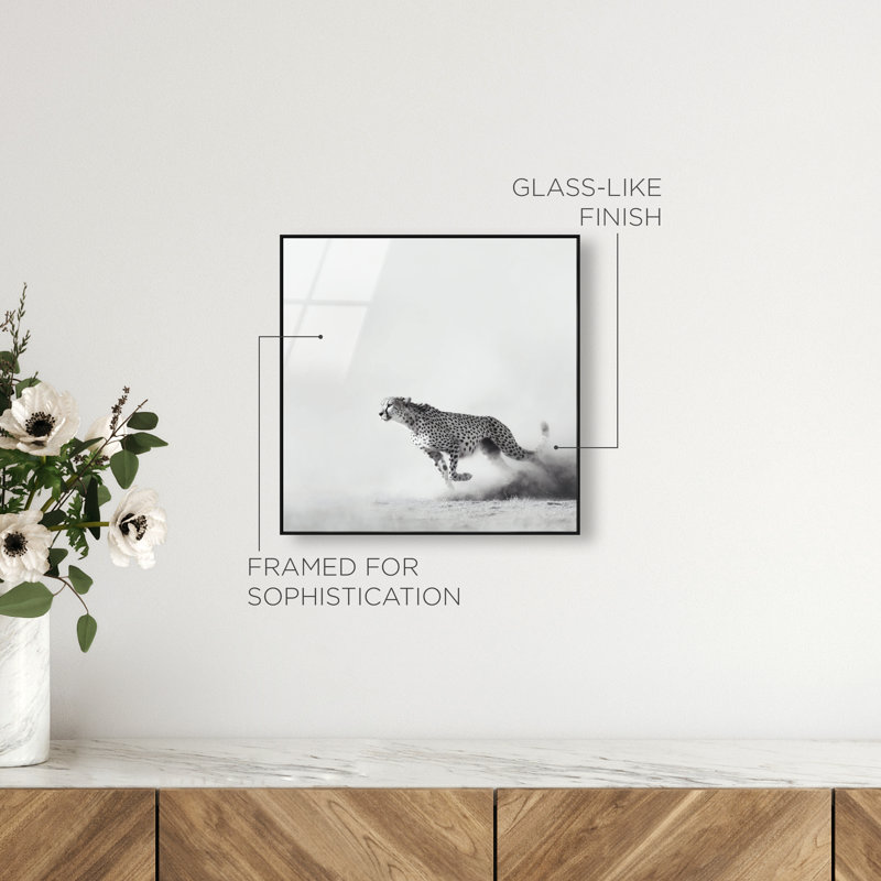 Cheetah Run High-Gloss Frameless Acrylic Glass Wall Art Animals Print by Oliver Gal, Ready to Hang, 12 x 12, 17" H x 17" W